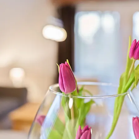 Cosy Holiday In Nearby The River *